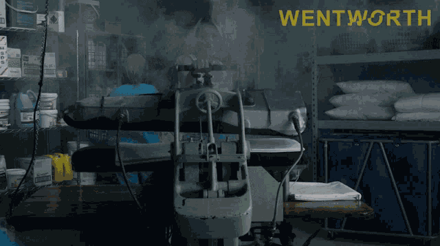 Steam Press Allie Novack GIF