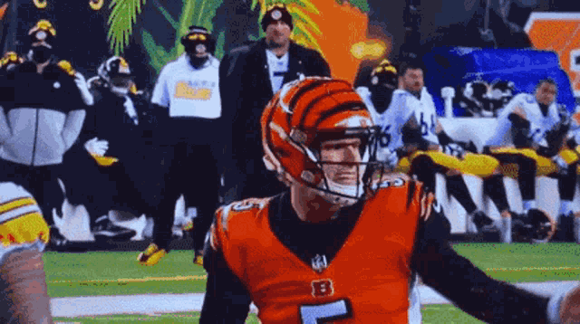 Steelers Lose GIF