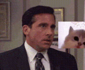 Steve Carell The Office GIF
