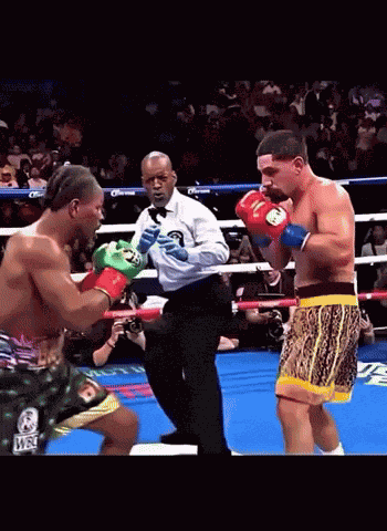 Steve Willis Boxing GIF