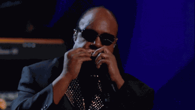 Stevie Wonder Harmonica GIF