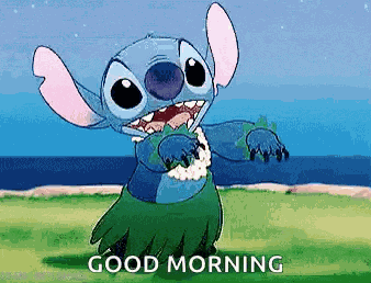 Stitch Liloandstitch GIF