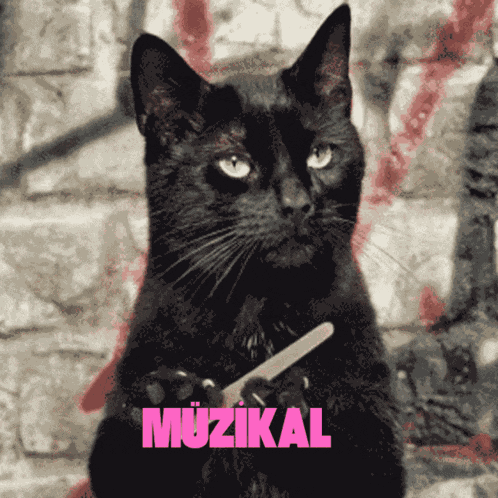 Stmmelody Mzklmelodiy GIF