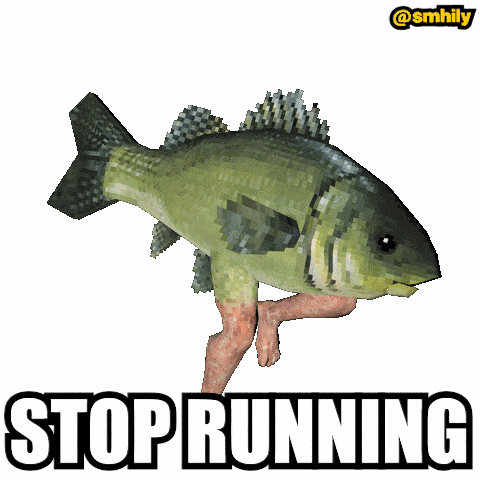 Stop Running Fish GIF