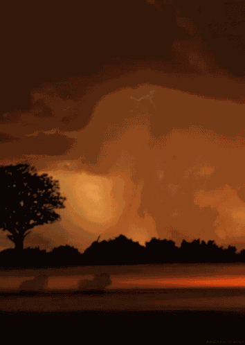 Storm Lightning GIF