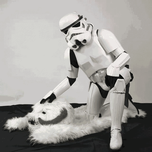Stormtrooper GIF