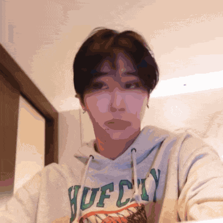 Stray Kids Skz Hug GIF