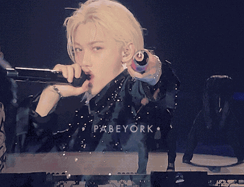 Stray Kids Skz GIF