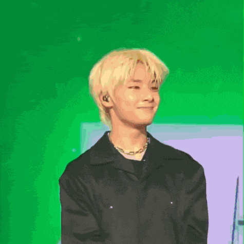 Stray Kids Skz GIF