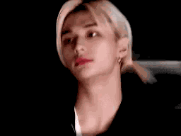 Stray Kids Skz GIF