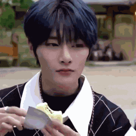 Stray Kids Skz GIF