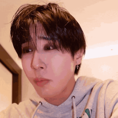 Stray Kids Stray Kids Han GIF