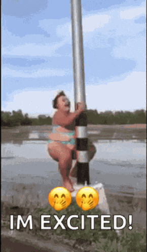 Stripper Pole Dancing GIF