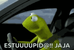Stupid Kermit The Frog GIF