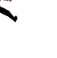 Suburbanninja Ninja Sticker