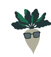 Sugarbeet Zuckerrbe Sticker