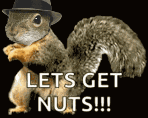 Sugarbush Nuts GIF