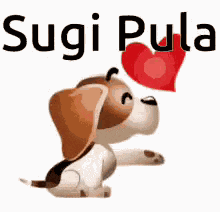 Sughi Phula GIF