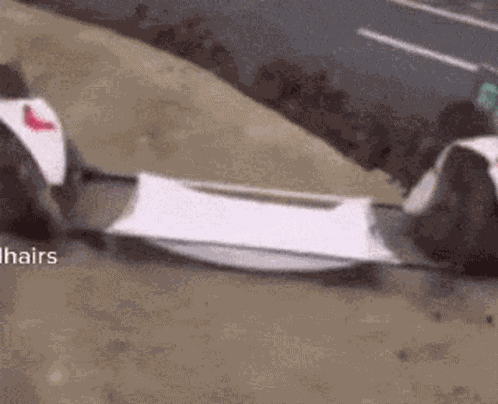 Sullyooner GIF