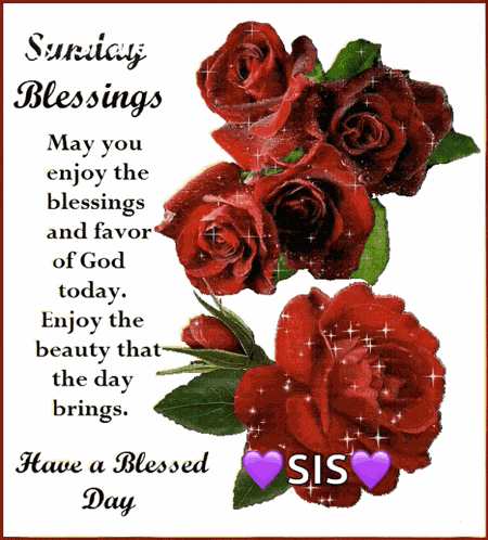 Sunday Blessings Have A Blessed Day GIF