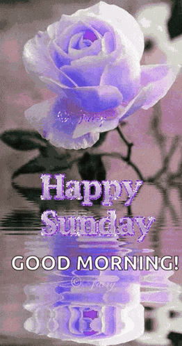 Sunday Blessings GIF