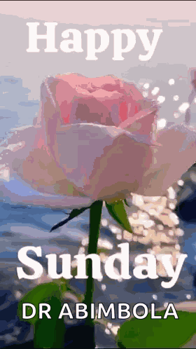 Sunday Good Morning Images Sunday Morning Blessings GIF