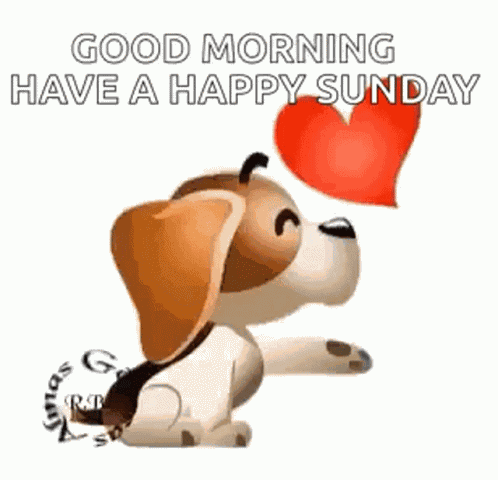 Sunday Happy GIF