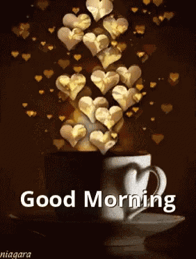 Sunday Morning GIF