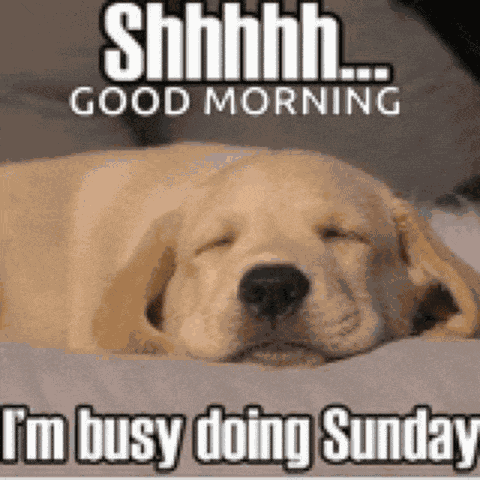 Sunday Sunday Dog Meme