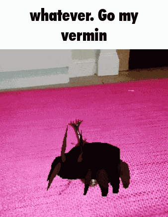 Sundowner Whatever Go My GIF