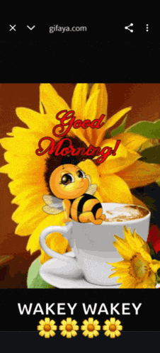 Sunflower Message Meme