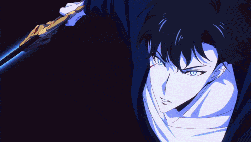 Sung Jin Woo Jinwoo GIF