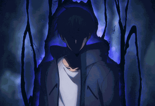 Sung Jin-woo Solo Leveling GIF