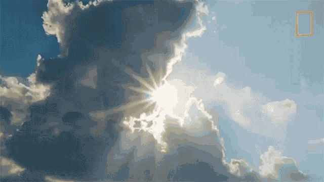 Sunny Day When Sharks Attack GIF