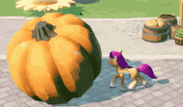 Sunny Starscout Pumpkin GIF