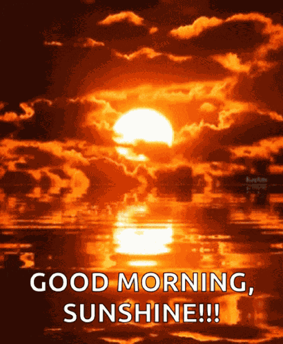 Sunrise Im Ready GIF