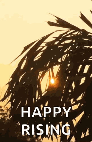 Sunrise Morning GIF