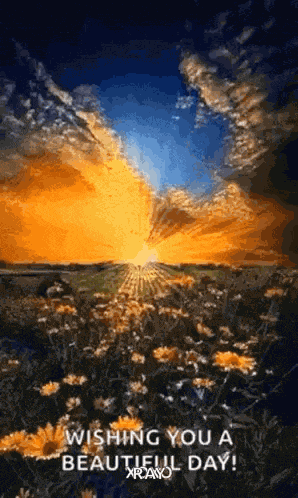 Sunrise Wishing You A Beautiful Day GIF