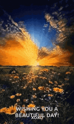 Sunrise Wishing You A Beautiful Day GIF