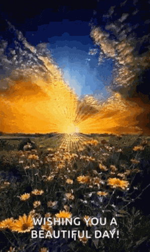 Sunrise Wishingyouabeautifulday GIF