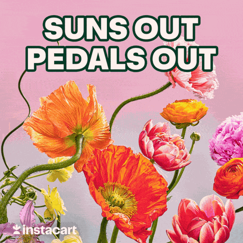 Suns Out Guns Out Spring Has Sprung GIF