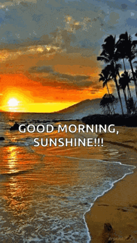 Sunset Beforesunrise GIF