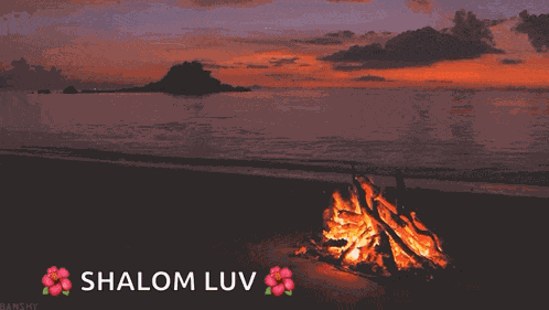 Sunset Fire GIF