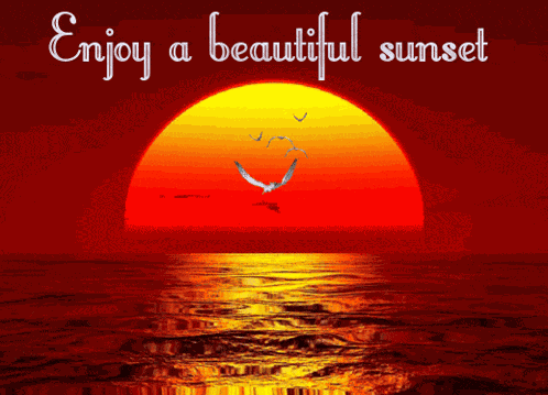 Sunset Good Evening GIF