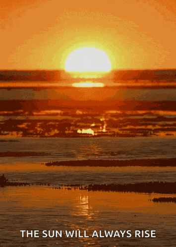 Sunset Nature GIF