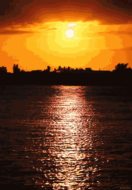 Sunset Summertime GIF