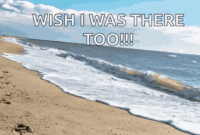 Sunshine By The Beach Sea GIF