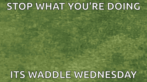 Super Smash Bros Waddle Dee GIF