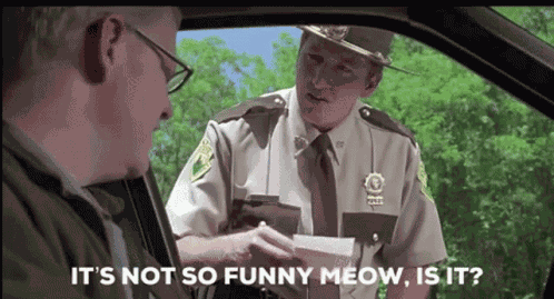 Super Troopers GIF
