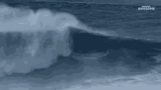 Surfing People Are Awesome GIF
